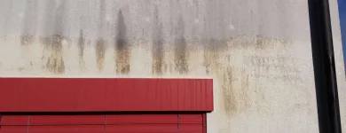 Immagine 2 azienda BLITZ-BLANK-TEAM Teppichreinigung, Polstermöbelreinigung in Wetzikon Zh ZH