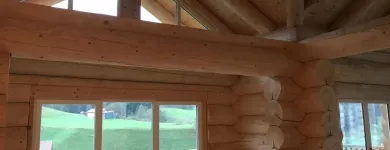 Immagine 12 azienda BLITZ-BLANK-TEAM Teppichreinigung, Polstermöbelreinigung in Wetzikon Zh ZH