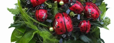 Entreprises 21 image BLUEME & GSCHÄNK CHÄLLER Kunstgewerbe, Geschenkartikel Einzelhandel dans Oberentfelden AG