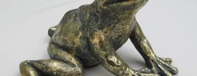 Entreprises 25 image BLUEME & GSCHÄNK CHÄLLER Kunstgewerbe, Geschenkartikel Einzelhandel dans Oberentfelden AG