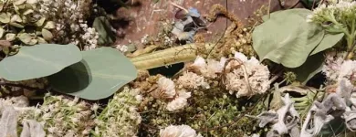 Entreprises 7 image BLUEME & GSCHÄNK CHÄLLER Kunstgewerbe, Geschenkartikel Einzelhandel dans Oberentfelden AG