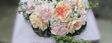 Entreprises 8 image BLUEME & GSCHÄNK CHÄLLER Kunstgewerbe, Geschenkartikel Einzelhandel dans Oberentfelden AG