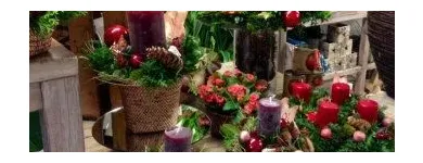 Unternehmen 4 Bild BLUMEN JAKOB Garten/Pflanzen am Wallisellen ZH
