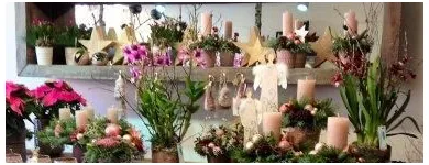 Unternehmen 5 Bild BLUMEN JAKOB Garten/Pflanzen am Wallisellen ZH
