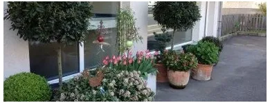 Unternehmen 2 Bild BLUMEN JAKOB Garten/Pflanzen am Wallisellen ZH