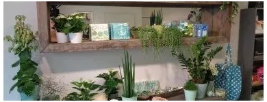 Unternehmen 3 Bild BLUMEN JAKOB Garten/Pflanzen am Wallisellen ZH