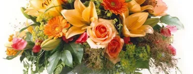 Unternehmen 10 Bild BLUMEN PFISTER Gartengeräte, Landgeräte Einzelhandel am St. Gallen SG