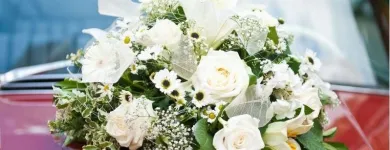 Unternehmen 11 Bild BLUMEN PFISTER Gartengeräte, Landgeräte Einzelhandel am St. Gallen SG