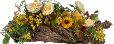 Unternehmen 1 Bild BLUMEN PFISTER Gartengeräte, Landgeräte Einzelhandel am St. Gallen SG