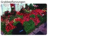 Unternehmen 5 Bild BLUMEN PFISTER Gartengeräte, Landgeräte Einzelhandel am St. Gallen SG