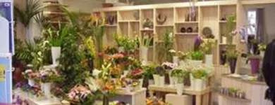 Unternehmen 7 Bild BLUMEN PFISTER Gartengeräte, Landgeräte Einzelhandel am St. Gallen SG