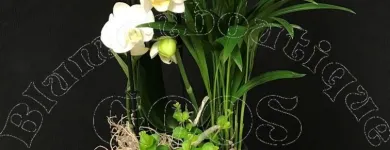 Immagine 4 azienda BLUMENBOUTIQUE GOOS Nahrungs-/Genussmittel in Zürich ZH