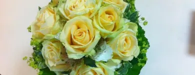 Entreprises 5 image BLUMENGESCHÄFT EFEULAUBE Nahrungs-/Genussmittel dans Männedorf ZH
