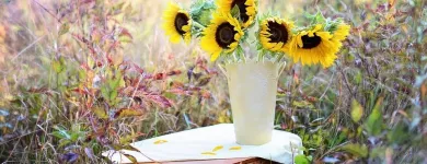 Unternehmen 8 Bild BLUMENHAUS WIEDIKON Garten/Pflanzen am Zurich ZH