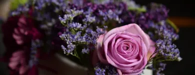 Unternehmen 10 Bild BLUMENHAUS WIEDIKON Garten/Pflanzen am Zurich ZH