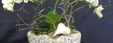 Unternehmen 11 Bild BLUMENHAUS WIEDIKON Garten/Pflanzen am Zurich ZH