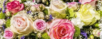 Unternehmen 3 Bild BLUMENHAUS WIEDIKON Garten/Pflanzen am Zurich ZH