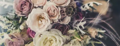 Unternehmen 4 Bild BLUMENHAUS WIEDIKON Garten/Pflanzen am Zurich ZH