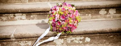 Unternehmen 5 Bild BLUMENHAUS WIEDIKON Garten/Pflanzen am Zurich ZH