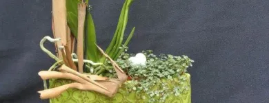 Unternehmen 7 Bild BLUMENHAUS WIEDIKON Garten/Pflanzen am Zurich ZH