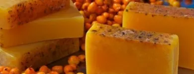 Immagine 4 azienda BOTANICUS SCHAFFHAUSEN AG Produktion und Vertrieb von Kosmetik, Körperpflegeartikel in Schaffhausen SH
