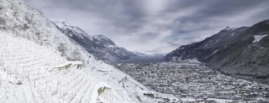 Unternehmen 1 Bild CAVE LA CINQUIÈME SAISON SA Weinkellereien am Martigny VS