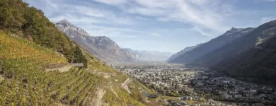 Unternehmen 4 Bild CAVE LA CINQUIÈME SAISON SA Weinkellereien am Martigny VS