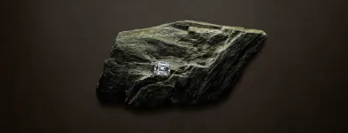 Unternehmen 5 Bild DAVID & SOHN AG Schmuck/Uhren/Edelmetallwaren am Zurich ZH