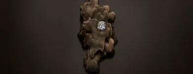 Unternehmen 3 Bild DAVID & SOHN AG Schmuck/Uhren/Edelmetallwaren am Zurich ZH