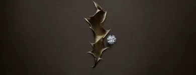 Unternehmen 4 Bild DAVID & SOHN AG Schmuck/Uhren/Edelmetallwaren am Zurich ZH