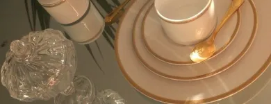 Entreprises 12 image DELUXE BY MJS EXKLUSIVES PORZELLAN & GLAS FÜR FACHHANDEL & HOTELS, INTERIOR DESIGN & EVENTPLANER Porzellan dans Bern BE