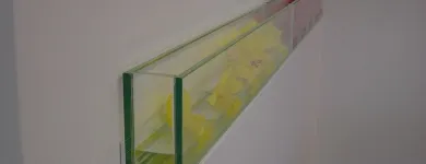 Unternehmen 59 Bild DEMENGA GLAS AG Zimmerarbeiten, Holzbauarbeiten am Basel BL