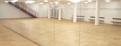 Unternehmen 69 Bild DEMENGA GLAS AG Zimmerarbeiten, Holzbauarbeiten am Basel BL