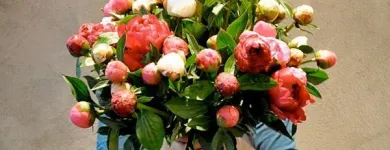Entreprises 2 image DICKICHT BLUMEN + ACCESSOIRES GABY DICK Raumausstatter, Innenausstatter dans Zürich ZH