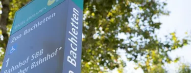 Entreprises 4 image DIE INSEL GMBH PHYSIOTHERAPIE - ERGOTHERAPIE Ärzte dans Basel BL