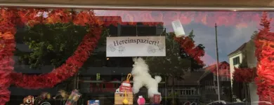 Immagine 1 azienda DOG & MORE Tiersalons in Zurich ZH