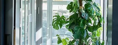 Immagine 7 azienda DON BARISTA Hotel-/Gastronomiegewerbe in Brig VS