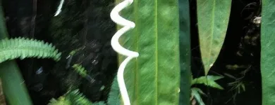 Unternehmen 3 Bild DOUDIN FRANÇOISE MASSAGES THÉRAPEUTIQUES Wellness & Spa am Carouge GE