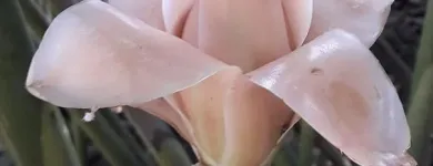 Unternehmen 4 Bild DOUDIN FRANÇOISE MASSAGES THÉRAPEUTIQUES Wellness & Spa am Carouge GE