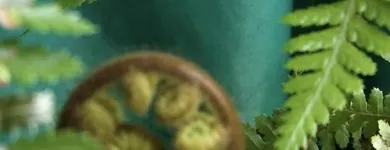 Unternehmen 1 Bild DOUDIN FRANÇOISE MASSAGES THÉRAPEUTIQUES Wellness & Spa am Carouge GE