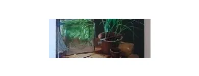 Immagine 4 azienda DREIANGEL KOSMETIKROHSTOFFE Produktion und Vertrieb von Kosmetik, Körperpflegeartikel in Rupperswil AG