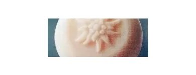 Immagine 5 azienda DREIANGEL KOSMETIKROHSTOFFE Produktion und Vertrieb von Kosmetik, Körperpflegeartikel in Rupperswil AG