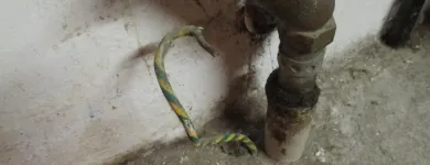 Entreprises 1 image ELKONA Energie/Wasserwirtschaft dans Meisterschwanden AG