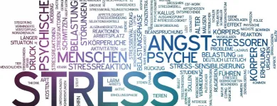 Unternehmen 3 Bild ERFOLGSWELT URSULA AESCHBACH Unternehmensberater, Organisationsberater am Villmergen AG