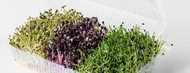 Unternehmen 10 Bild ESPRO SPROSSEN Nahrungs-/Genussmittel am Uetendorf BE