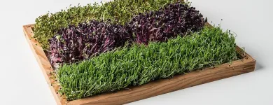 Unternehmen 11 Bild ESPRO SPROSSEN Nahrungs-/Genussmittel am Uetendorf BE