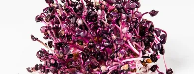 Unternehmen 13 Bild ESPRO SPROSSEN Nahrungs-/Genussmittel am Uetendorf BE