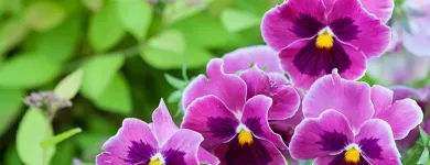 Unternehmen 6 Bild ESPRO SPROSSEN Nahrungs-/Genussmittel am Uetendorf BE