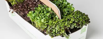 Unternehmen 7 Bild ESPRO SPROSSEN Nahrungs-/Genussmittel am Uetendorf BE