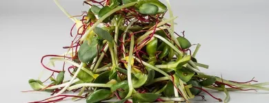 Unternehmen 8 Bild ESPRO SPROSSEN Nahrungs-/Genussmittel am Uetendorf BE